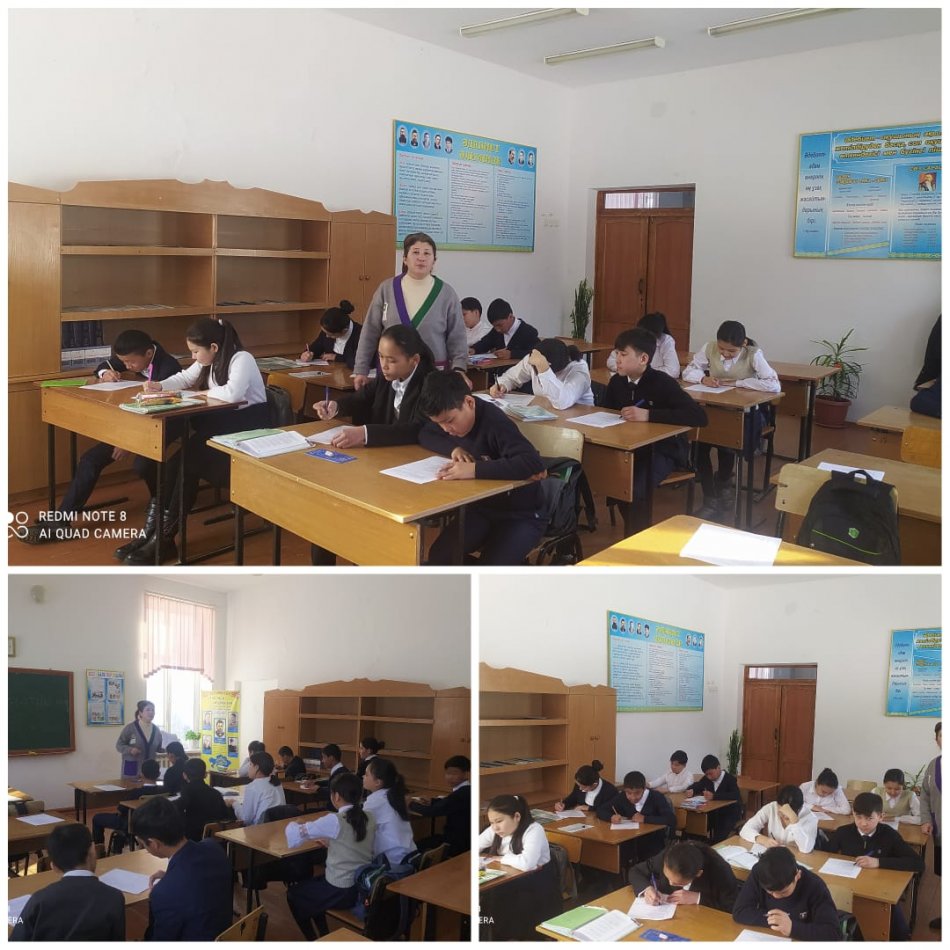 "Профиль әдістемесін " Қызығур картасының сәйкес модификацияланған тесті